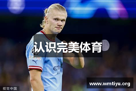 认识完美体育